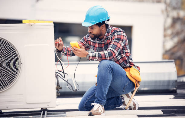 Best Electrical System Inspection  in Lake Of The Woods, IL
