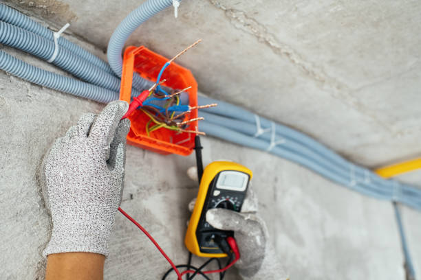 Best Electrician for Home Renovation  in Lake Of The Woods, IL